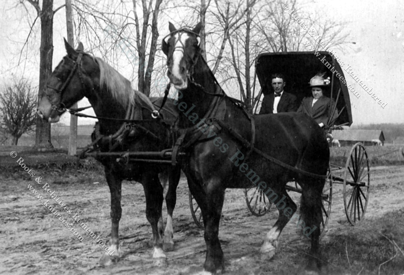 1914~ Julius B. & Teresa B. Wolter